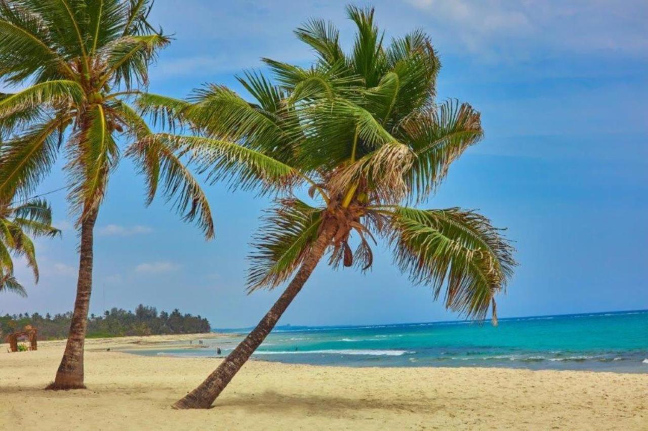 蓝花楹印度洋海滩度假村 迪亚尼海滩 外观 照片